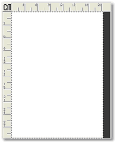 preview window_cm